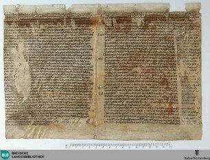 Sermones uel tractatus, Fragment - Cod. Aug. Fr. 89