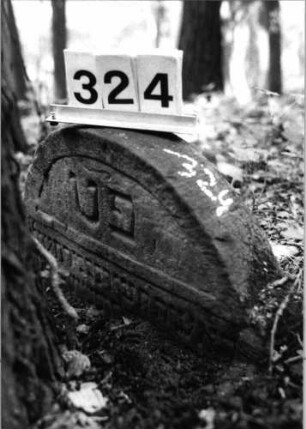 Grabstein 324 (Index: 99803502) Material: Sandstein Zustand: eingesunken mit Daten und Textverlust Maße HxBxT: 36x64x10 cm Beschreibung: Stele mit Karniesbogen, profilierter Rand, Giebelfeld: Grabstein 324 (Detailaufnahme)