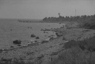 Puttgarden: Küste, an die der Fährhafen kommt