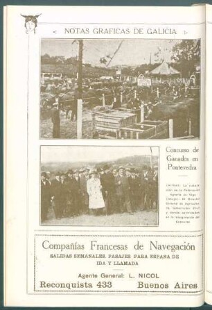 Notas gráficas de Galicia : [Dos vistas del] Concurso de Ganados en Pontevedra