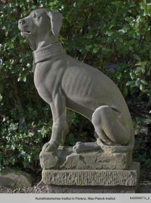 Zwei sitzende Hunde
