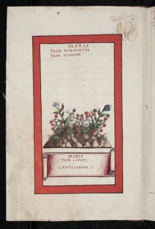 Maria Flos Campi (Feldblumen)