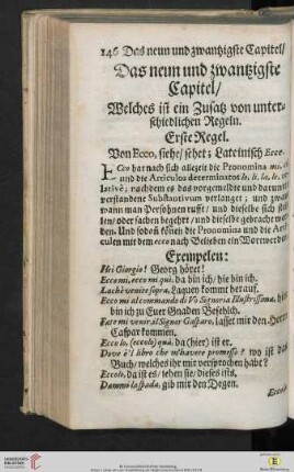 Das neun und zwantzigste Capitel