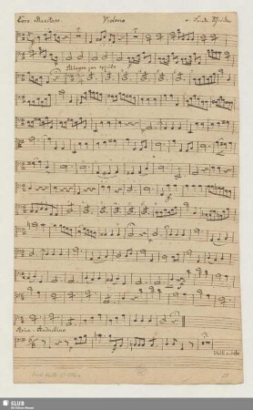 Violono