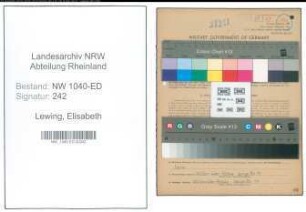 Entnazifizierung Elisabeth Lewing , geb. 20.01.1897 (Lewing)
