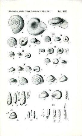 Tafel VIII
