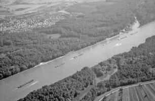 Plittersdorf: Rhein mit Plittersdorf, Richtung Osten