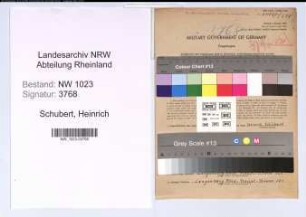 Entnazifizierung Heinrich Schubert , geb. 08.12.1901 (Steinholzmeister)