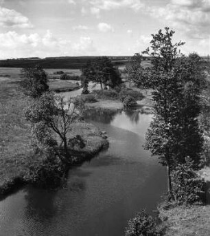 Holleischen (Holýšov). Bachlauf