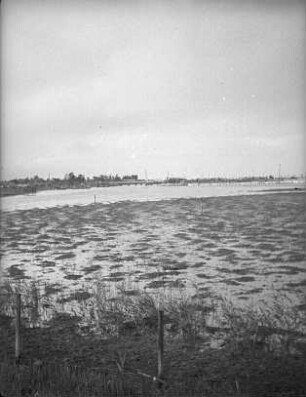 Neulandgewinnung in der Bucht von Tokio : Neulandgewinnung in der Bucht von Tokio. Urbarmachung durch Bepflanzung