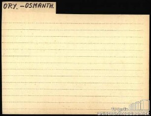 ORY.-OSMANTH.