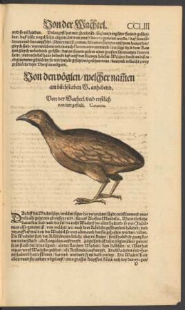 Von den vöglen/ welcher nammen am buchstaben W. anhebend.