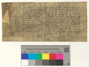 Die Lüneburger Ratsmannen bekunden, dass sie Ertmere van Bertelwike und Henneken Stechmanne 120 Mark Lüneburger Pfennige, zahlbar zu Michaelis 1372, schulden.