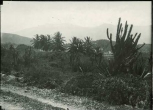 Gran Carretera Trasandrina de Merida oberhalb Valera.