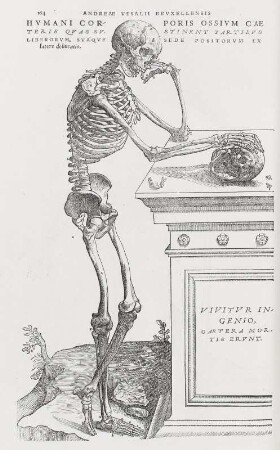 Humani corporis ossium, Seite 164