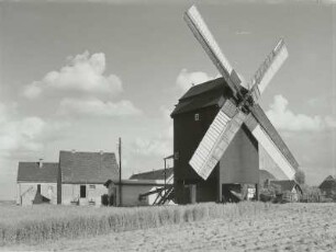 Mühlengehöft und Bockwindmühle : Strehla (bei Riesa). Mühlengehöft und Bockwindmühle