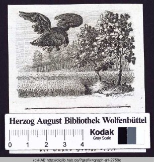 Freimütig und bescheiden.