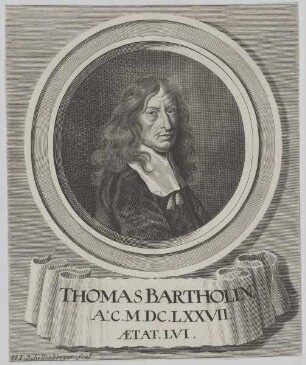 Bildnis des Thomas Bartholin