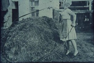 Fotografie: Futtervorlage, Futtertisch, Arbeitskraft, Handarbeit, Handgerät
