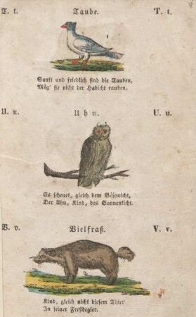 Taube. Uhu. Vielfraß.