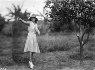 Frau neben einem Baum : Eine Teilnehmerin der Schomburgk-Expedition neben einem Baum
