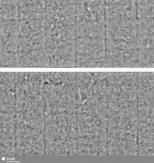 Lilienschild + IESV / LW = S.11/12+59/60