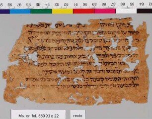 22: Mishneh Torah : Fragment