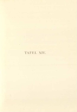 Tafel XIV.