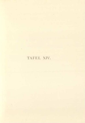 Tafel XIV.