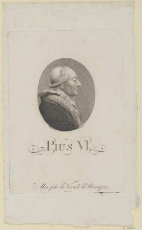 Bildnis des Pius VI