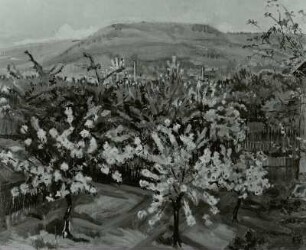 Frühling in Freital