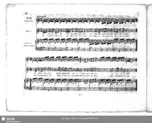 No.6. La violetta - Es birgt