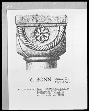 Bonn, Münster Sankt Martin, Kreuzgang, Süd-Flügel, 2. Arkade von Osten, 1. Kapitell von Osten