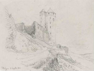Burgruine in Stolpen