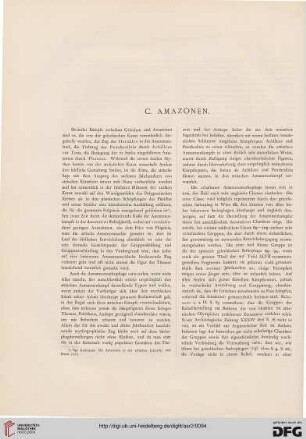 144C: Amazonen