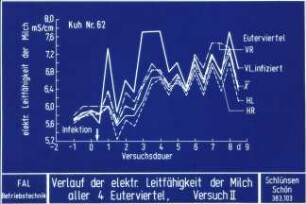 Verlauf der elektr. Leitfähigkeit der Milch aller 4 Euterviertel, Versuch II)