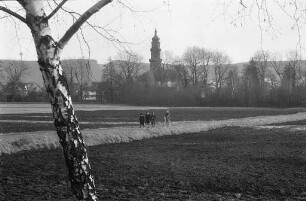 Vorfrühlingstag im Januar