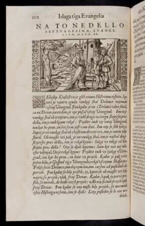 120-132, Na to nedello septuagesima, evangelium Math. XX. - Na to nedello sexagesima, evangelium Luc. VIII.