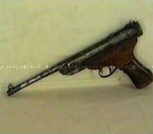 Luftpistole Diana