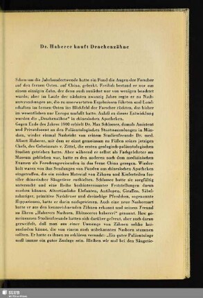 Dr. Haberer kauft Drachenzähne