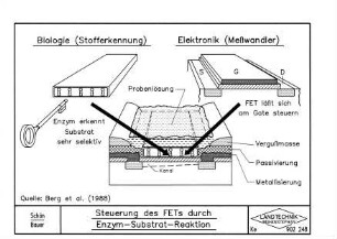 Steuerung des FETs durch Enzym-Substrat-Reaktion