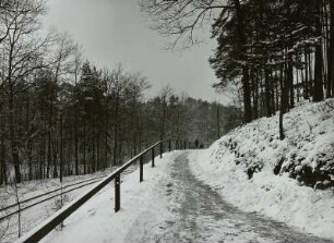Radebeul. Lößnitzgrund mit Gleisen der Schmalspurbahn. Blick vom Weg in Höhe Kaisermühle