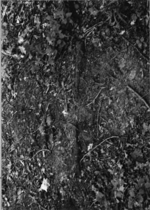 Grabstein 1138