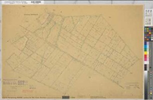 Rheine r.d.E. (Rheine), Flurbereinigung Altenrheine, Schätzungskarte Rheine r.d.E. Flur 10