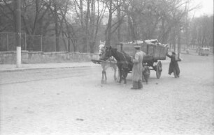 Bukarest: Pferdewagen am Botanischen Garten Cotroceni
