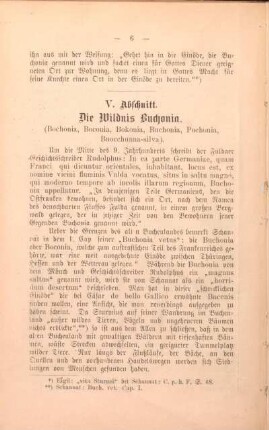 V. Abschnitt. Die Wildnis Buchonia.