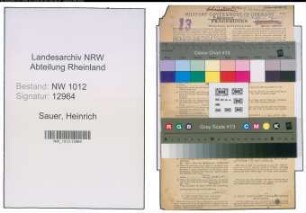 Entnazifizierung Heinrich Sauer , geb. 09.01.1890 (Schausteller)
