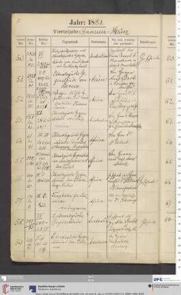 VII 50/1881