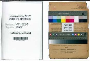 Entnazifizierung Edmund Haffmans, geb. 21.03.1900 (Direktor)