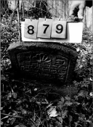 Grabstein 879 (neu: 115)